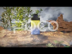 POCO BL10000 Oplaadbare wegwerp vape 20ml 5% Nic 650mAh Mesh Coil Fruit Falvors