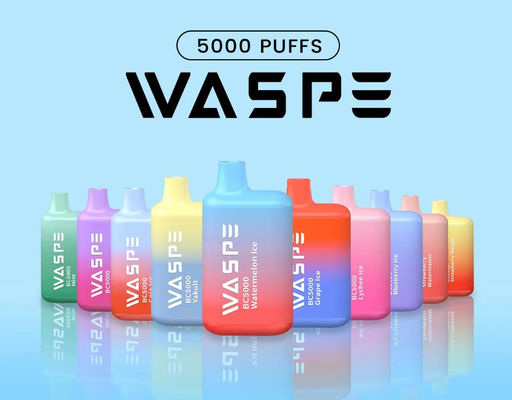 Wasp 5000 Oplaadbare Vape Mesh Coil tot 5000 Puffs 5% Wegwerp vape