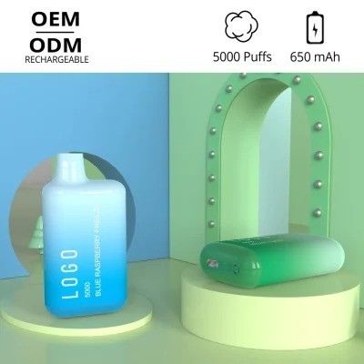 SUS304 OEM het Fruitaroma Beschikbare Vape 1.2ohm van de Elfbar BC5000