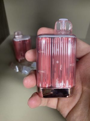 OEM Te5000 13.5ml 5000 Rookwolken Mesh Coil Disposable Vape 950mah
