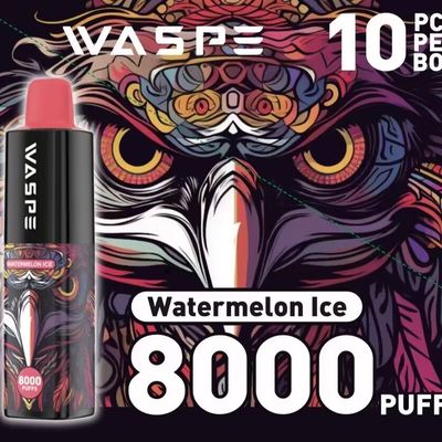 8000Puffs Eenmalige elektronische pen met Type-C laadpoort zonder