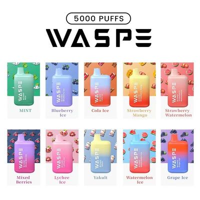 Waspe 5000Puffs E Cigarette Wegwerp vape 13ml 2%/3%/5% Nic 650mah Oplaadbaar