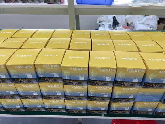 5000 Puffs Waspe Oplaadbare wegwerppen met 13 ml voorgevulde sap