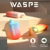 Waspe 5000 Puffs Wegwerp Vape Pen 650mAh Type-C Oplaadbare Ecig