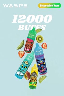12000Puffs wegwerppen met 20 ml e-vloeistof voor grote vapingbehoeften