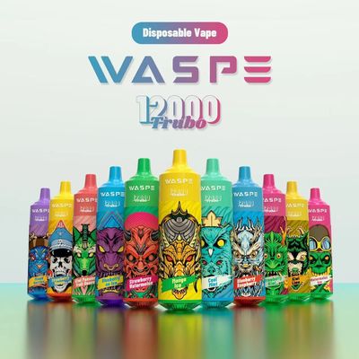 12000 puffs E-sigaret Type-C oplaadbaar voor uitzonderlijke vapingprestaties