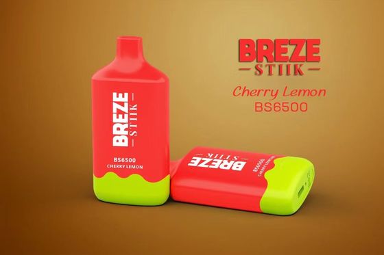 BREZE BS6500 Wegwerp vape Big puff 15 ml voorgevulde ejuice 500mAh batterij