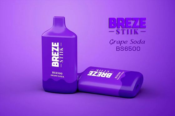 BREZE BS6500 Wegwerp vape Big puff 15 ml voorgevulde ejuice 500mAh batterij