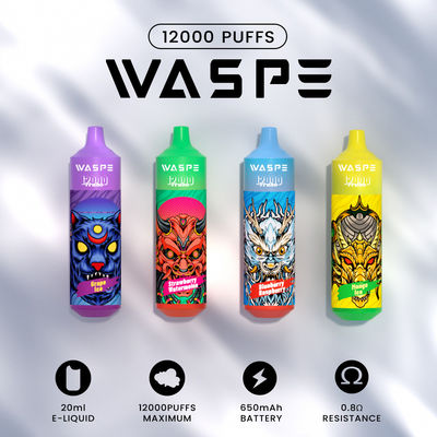 Waspe 12000Puffs 20 ML E-Liquid wegwerp Vape Pen met Type-C oplaadbare kleurrijke RGB-licht