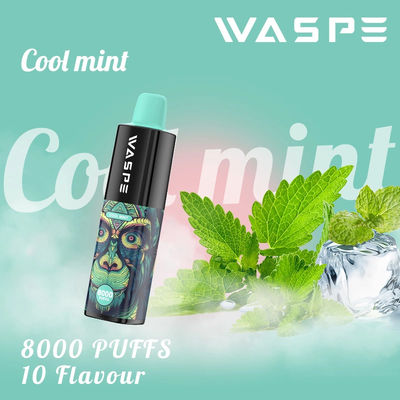 8000Puffs Wegwerp Vape Pen met Paypal Betalingsmethode en 85g Gewicht
