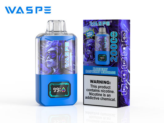 12 Fruit Flavors Big Puff Vape Sus304 24ml Ejuice Scherm Display Type C Charging