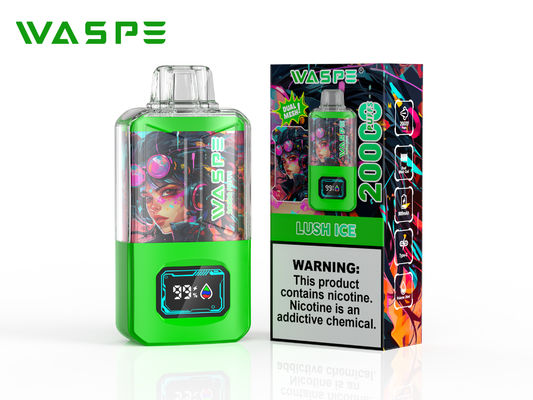 Sus304 Big Puff Vape Met 20000 Puffs 650 Mah Battery Screen Display
