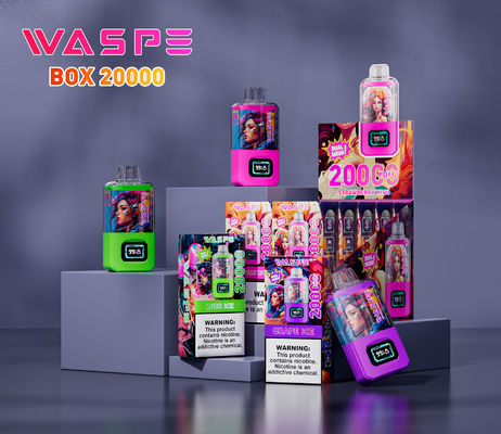 12 Fruit Flavors Big Puff Vape Sus304 24ml Ejuice Scherm Display Type C Charging
