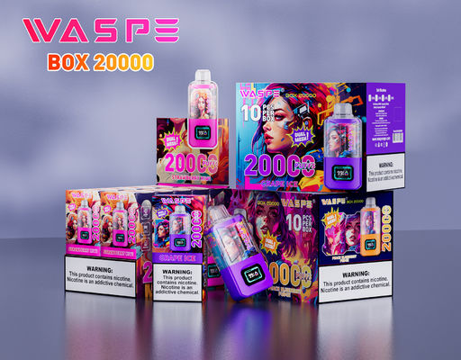 Type C oplaadpoort Big Puff Vape Sus304 24 ml sapcapaciteit met Nic 0% 2% 3% 5%