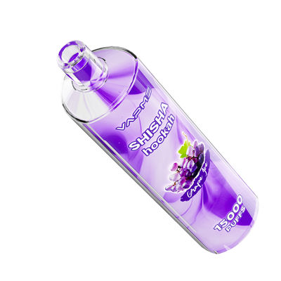 24 Fruity Flavors Type C Charging Port Big Puff Vape Kit SUS304 0%/2% Nic 650mAh batterij