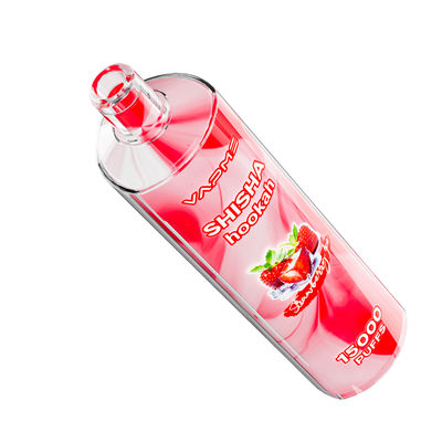 15000 puffs Fruit Flavors Vape Type C Charging Port 25 ml Ejuice Capaciteit SUS304