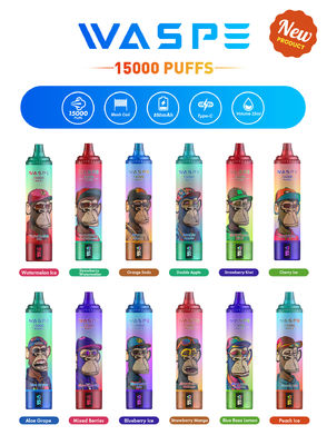 Custom 22 ml SUS304 Vape met 12 Fruitige smaken 15000-Puff Capaciteit Type C opladen