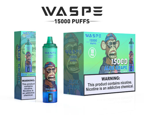 Custom 22 ml SUS304 Vape met 12 Fruitige smaken 15000-Puff Capaciteit Type C opladen