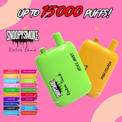 Fruit Flavor Double18mL Voorafgevulde E Liquid Battery Type C Oplaadbare Pod Kit 15000 Puffs