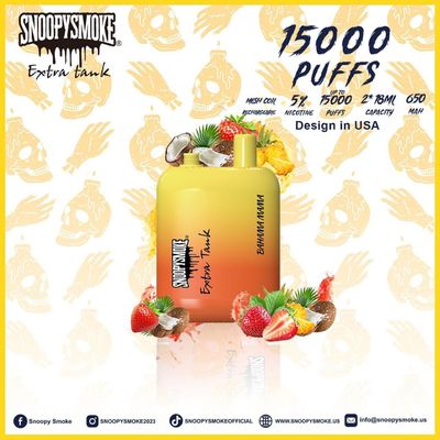 15000 puffs Fruit Flavor Vape Dubbele 18 ml batterij met 650mAh Type C oplaadbare batterij