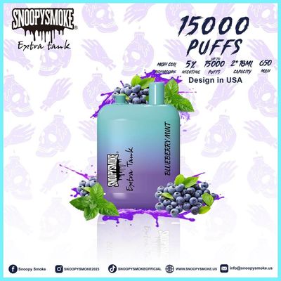 Fruit Flavor USA Vape met 1,2 ohm Mesh Coil Double 18mL E Liquid 15000 Puffs